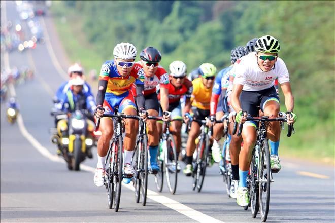 Cá cược đua xe đạp Tour de France: Cơn sốt mùa hè