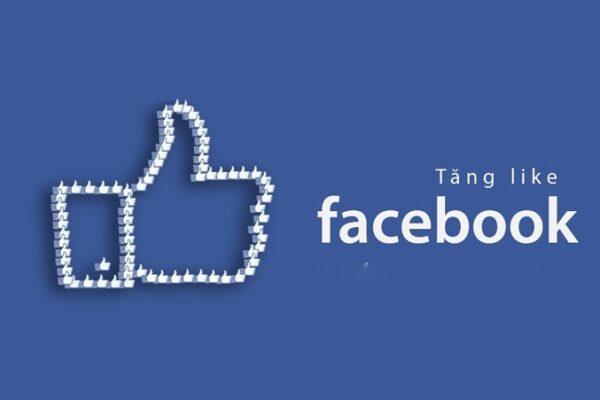 Tăng Like Facebook – Bí Quyết Xây Dựng Thương Hiệu Cá Nhân Và Kinh Doanh Hiệu Quả